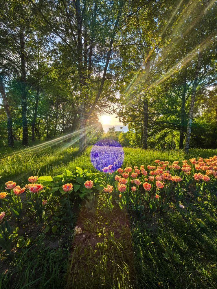 Photograph by Rybakova Alena