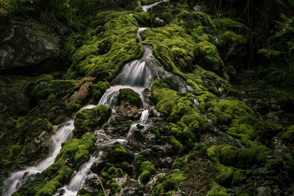 Photograph by Iwamoto Reina
