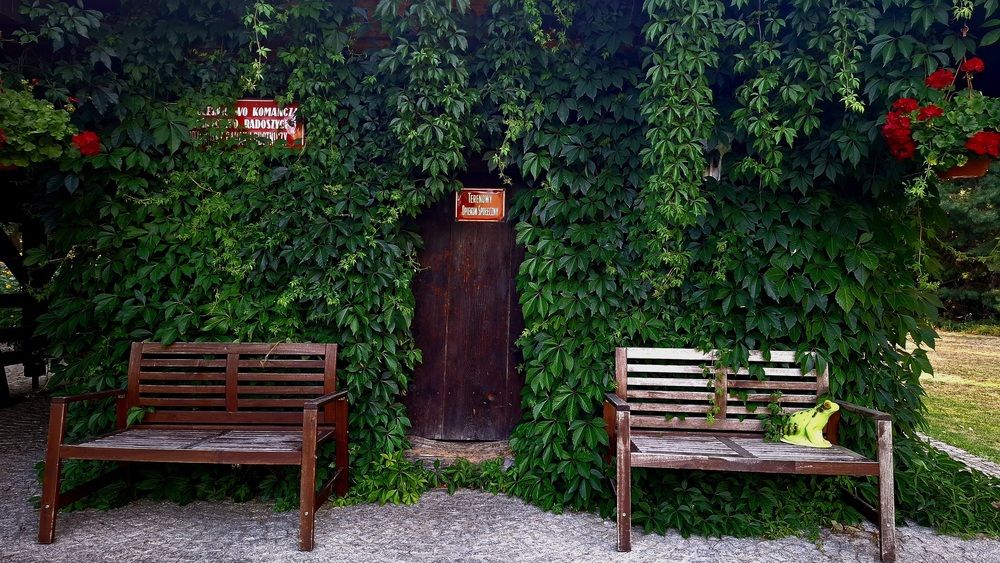 The Secret Green Portal