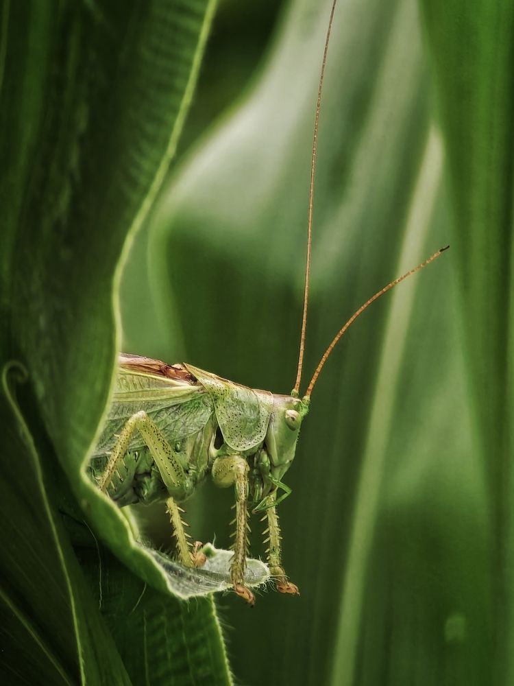 Photograph by Оксана Короткая