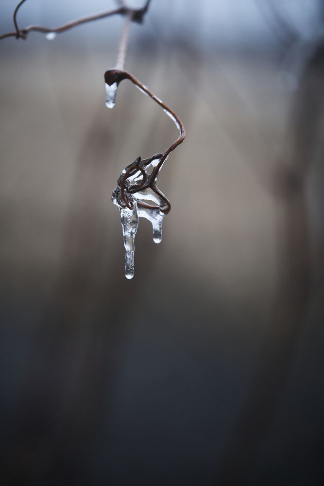 Photograph by Кристина Присакарь
