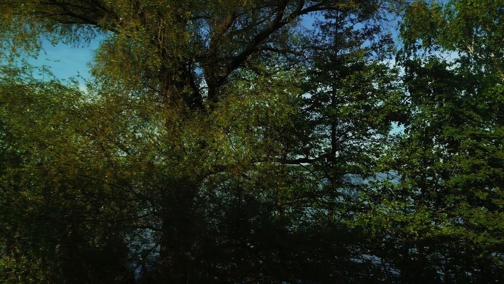 Photograph by Кристина Присакарь