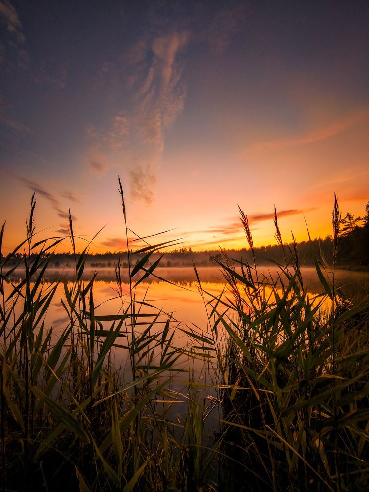 Photograph by Александр Хухлов