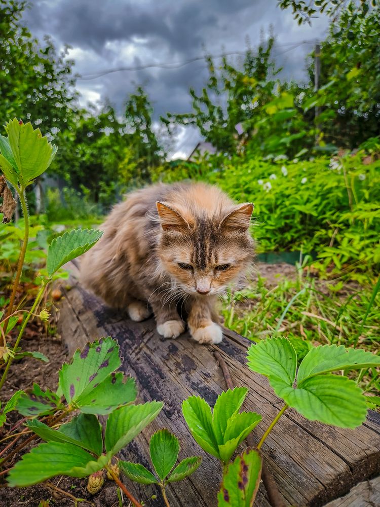 Photograph by Александр Хухлов