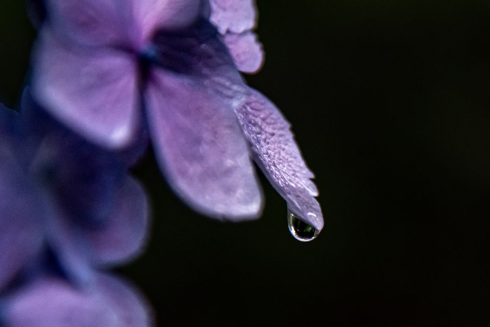 Photograph by Iwamoto Reina