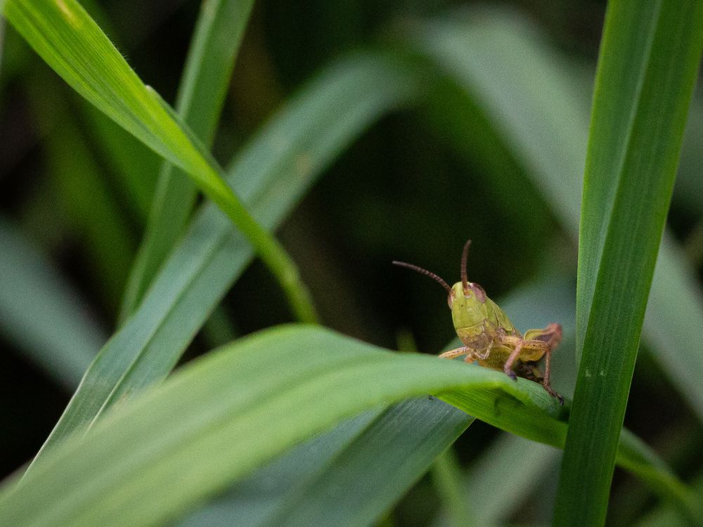 Photograph by Георгий Юркин