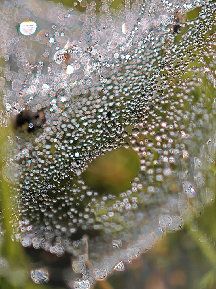 Photograph by Оксана Короткая