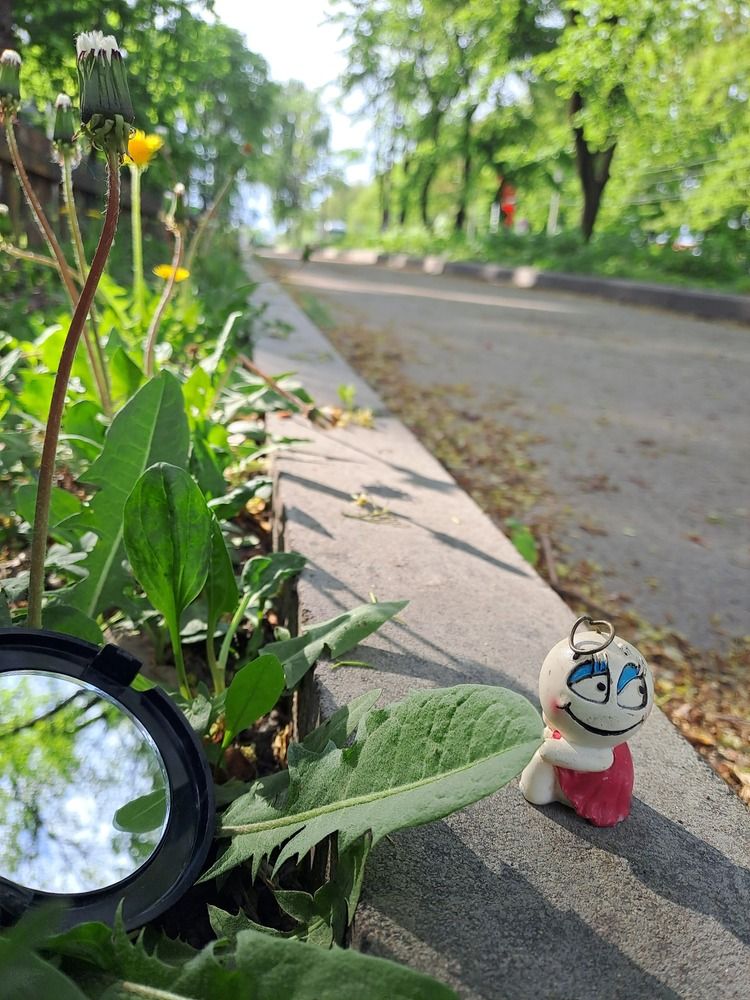 Photograph by Наталья Сдвижкова