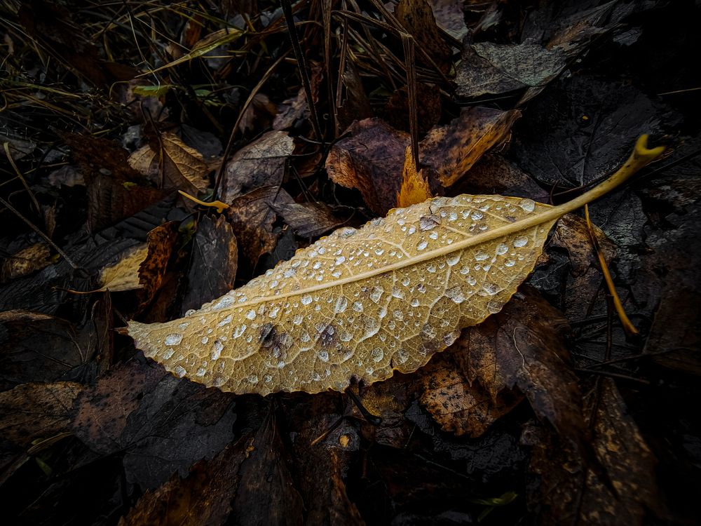 Photograph by Александр Хухлов