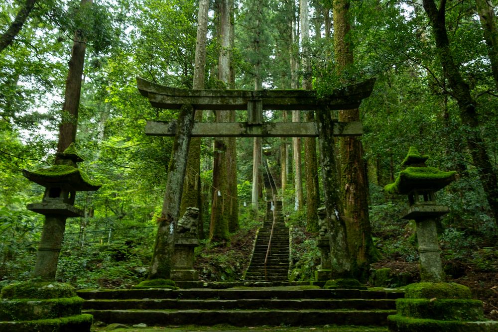 A torii gate that leads to the gods.