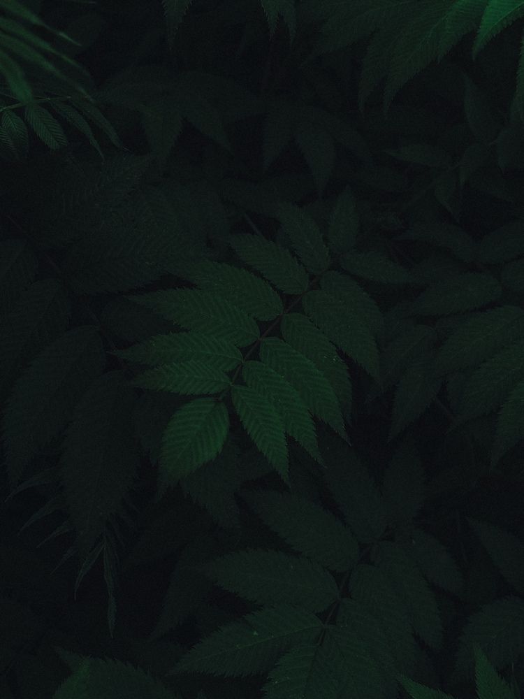 Photograph by Елена Михалева