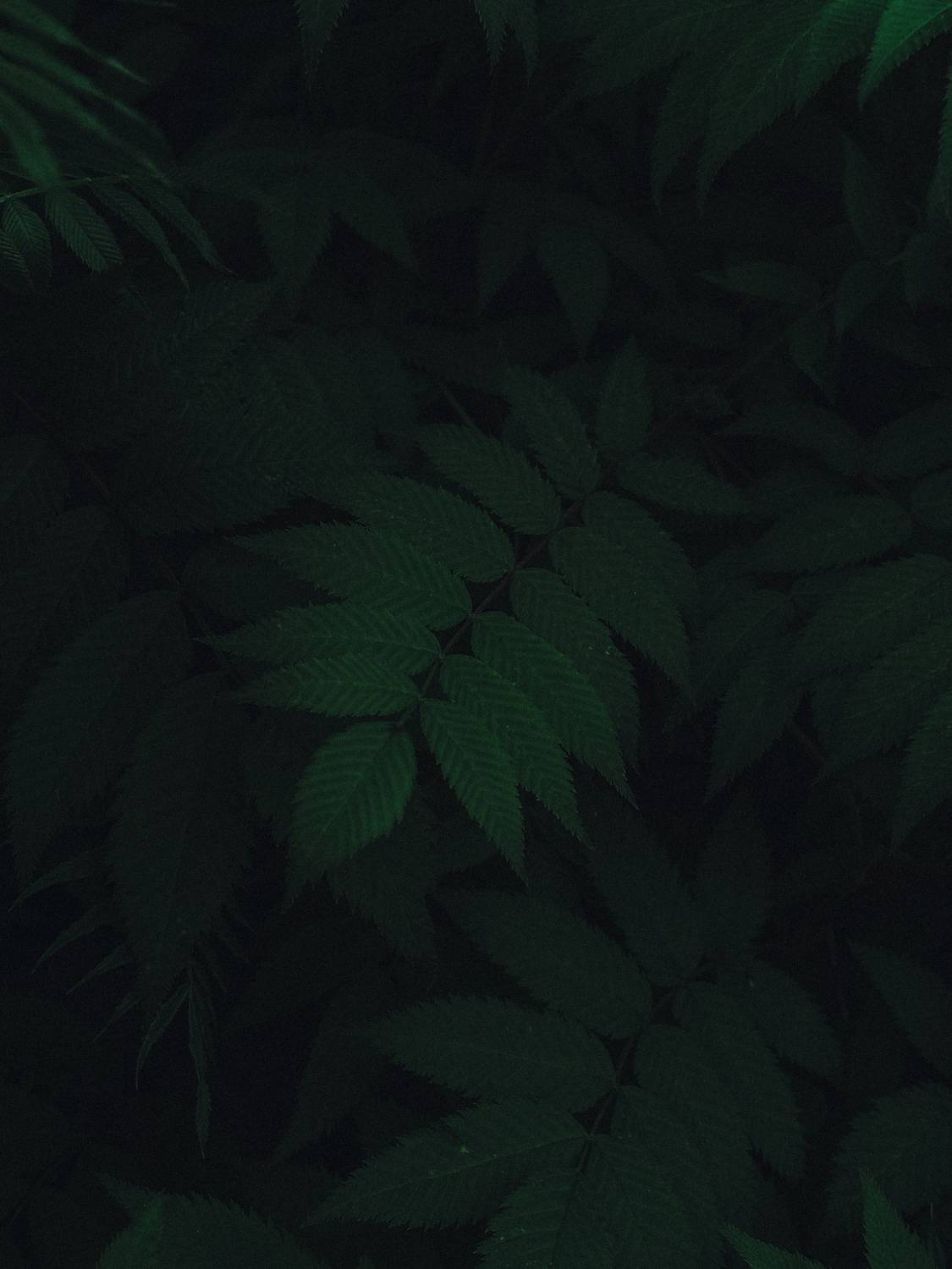 Фотография #13609898