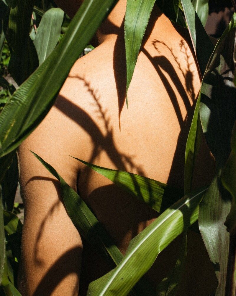 Photograph by Aleksei Selin [ selins.ru ]