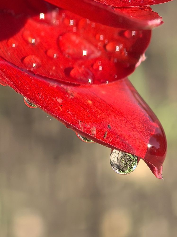 Photograph by Людмила Орловская