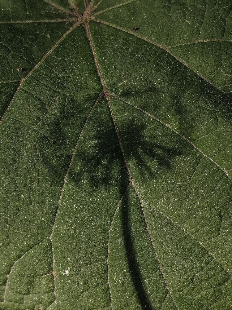Photograph by Наталия Соболева