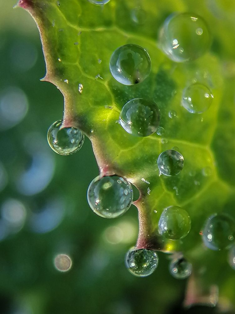 Photograph by Наталия Соболева