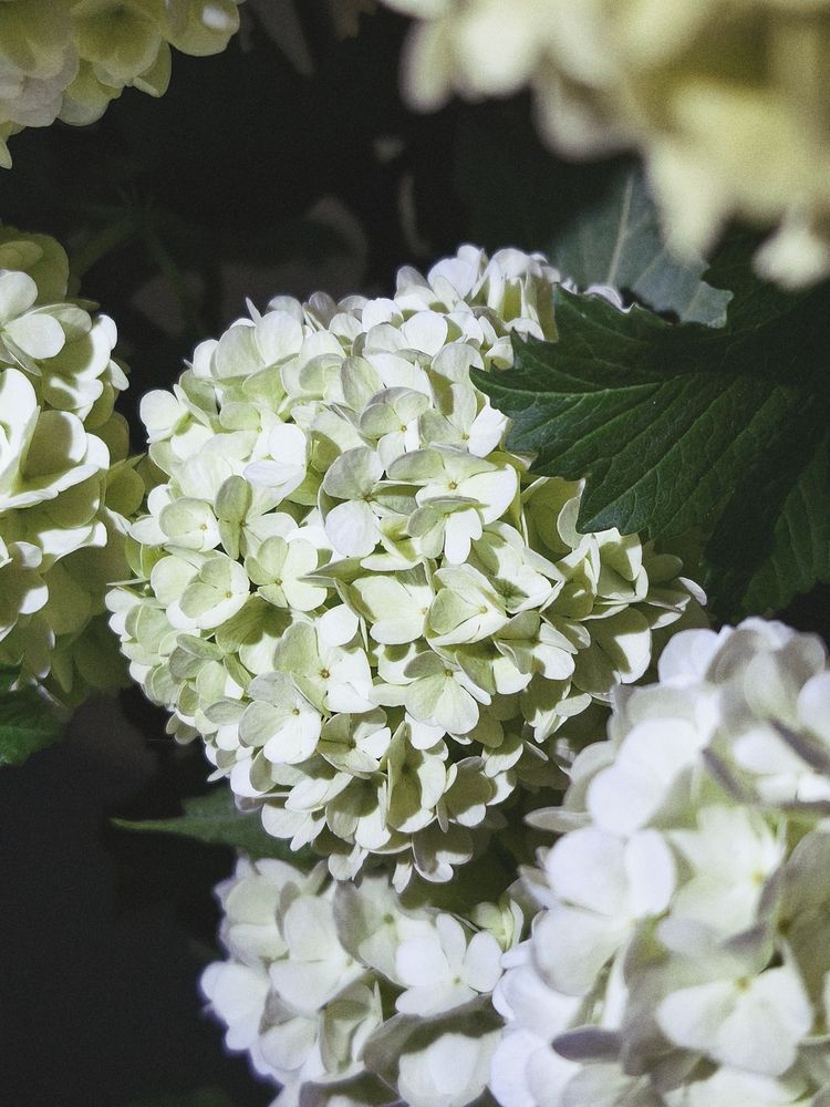 Photograph by Наталия Соболева