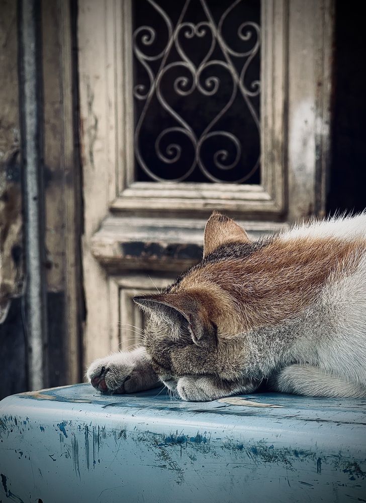 Photograph by 2laa abdelfattah