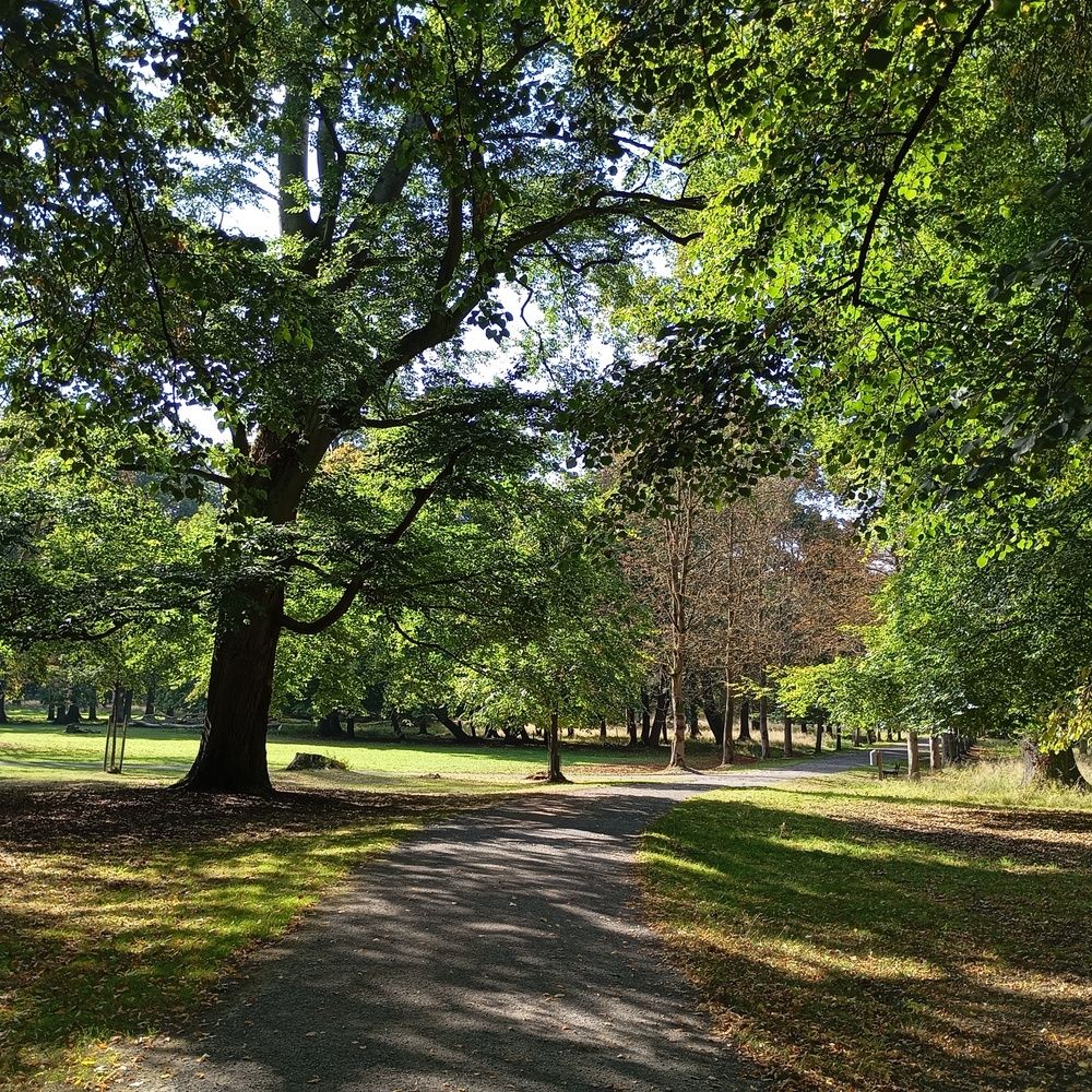 Path into the distance.