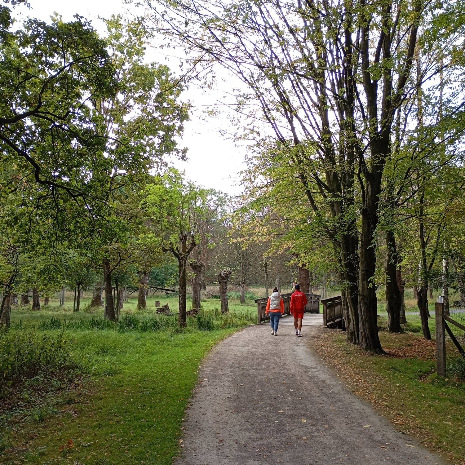 Green silence.
