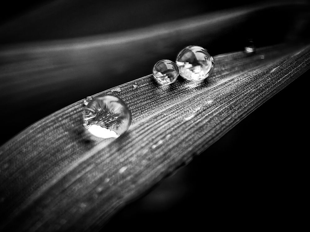 Photograph by Сергей Степаненко