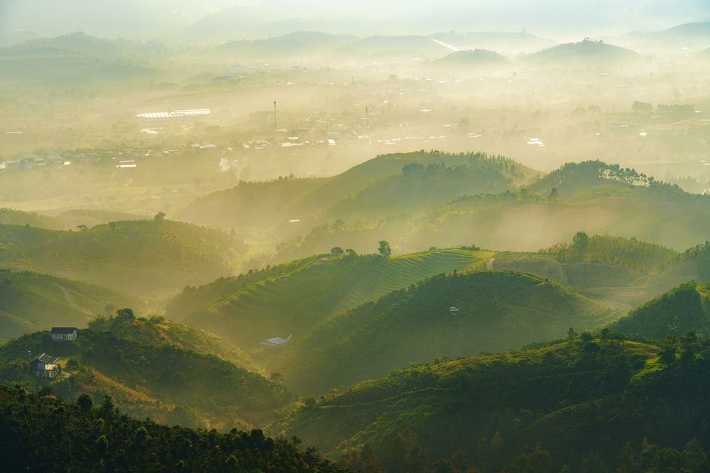 Photograph by Dat Ninh