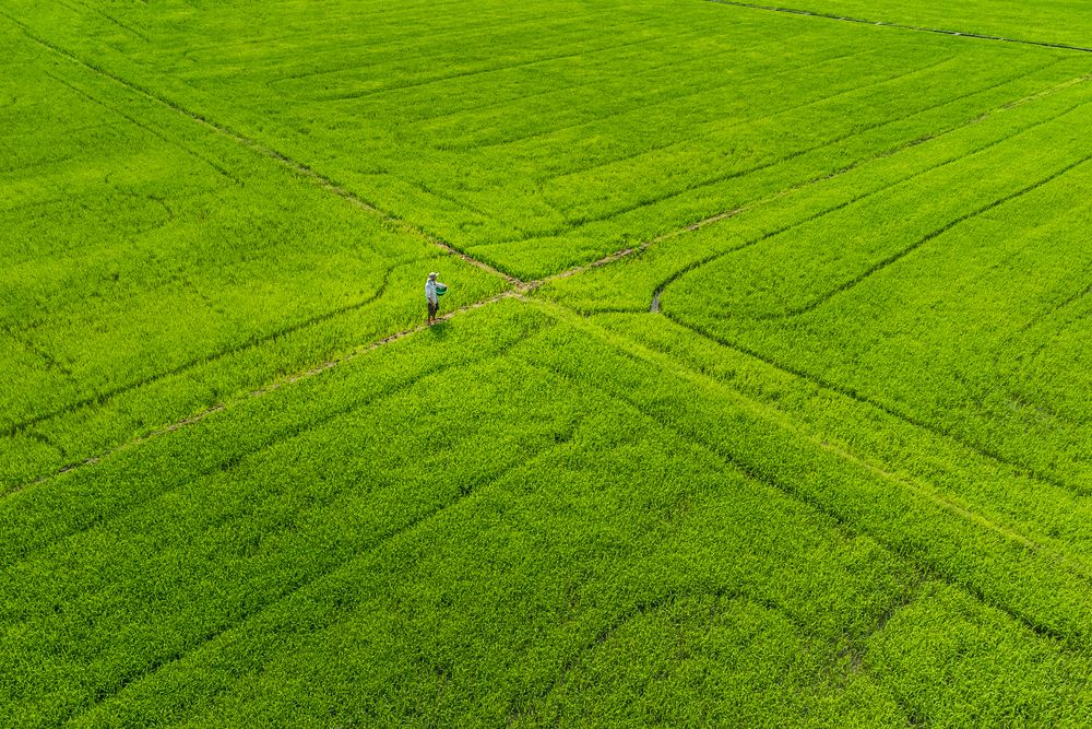 Photograph by Dat Ninh
