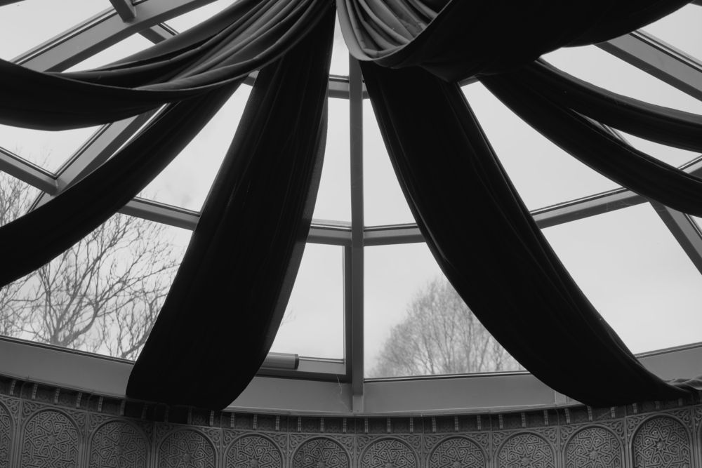 Photo #13610262