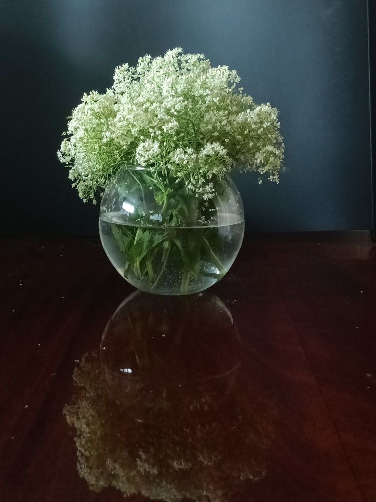 Photo #13610269