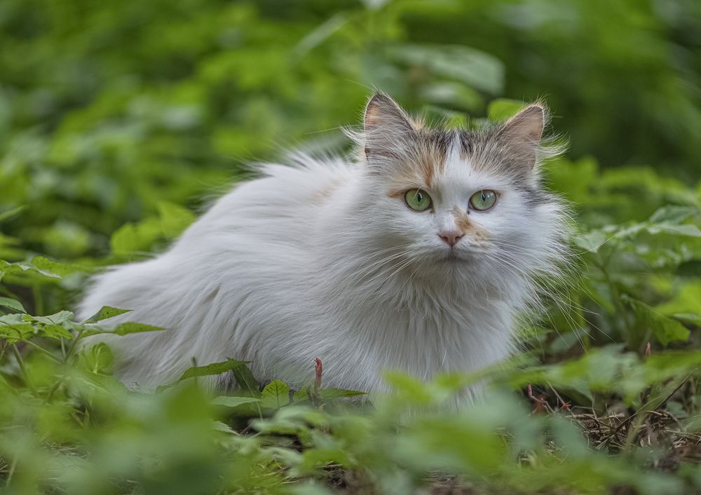 Photograph by ПУЗЕНКО ДМИТРИЙ