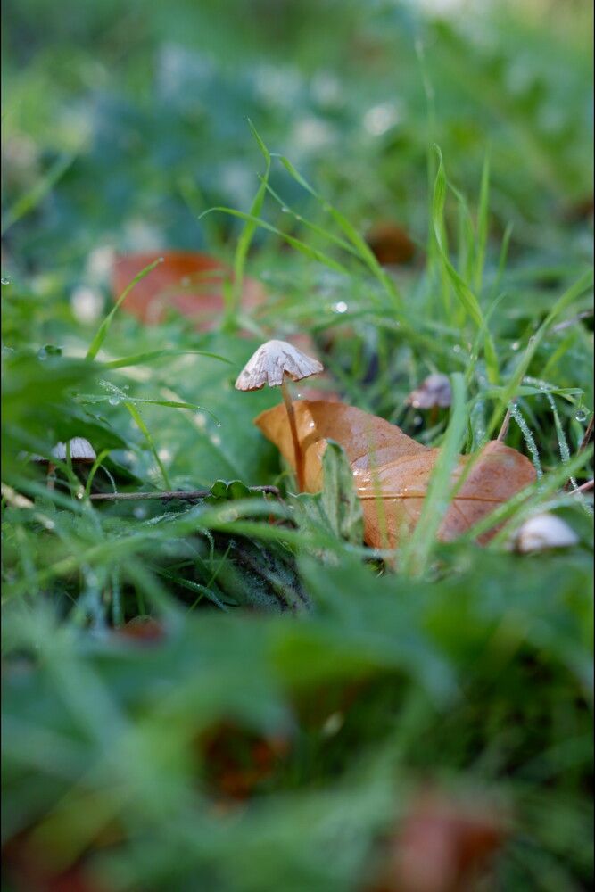 Photograph by Ольга Матяшова