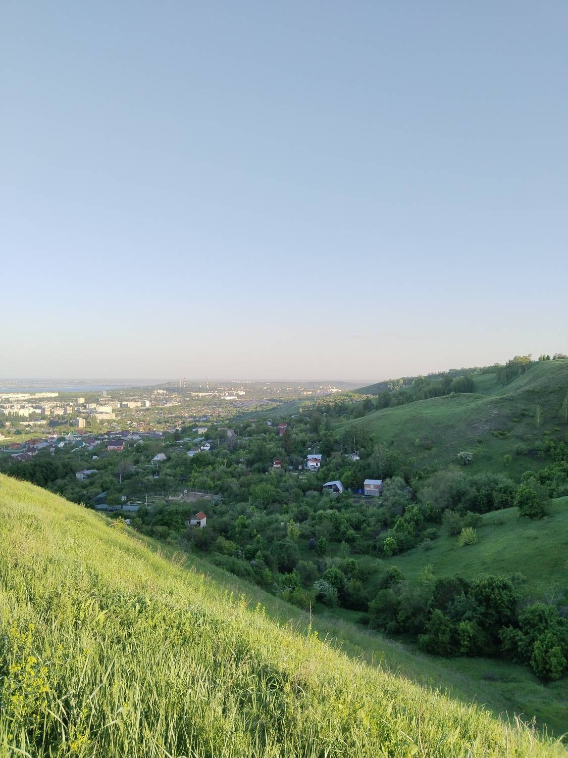 Photo #13610446
