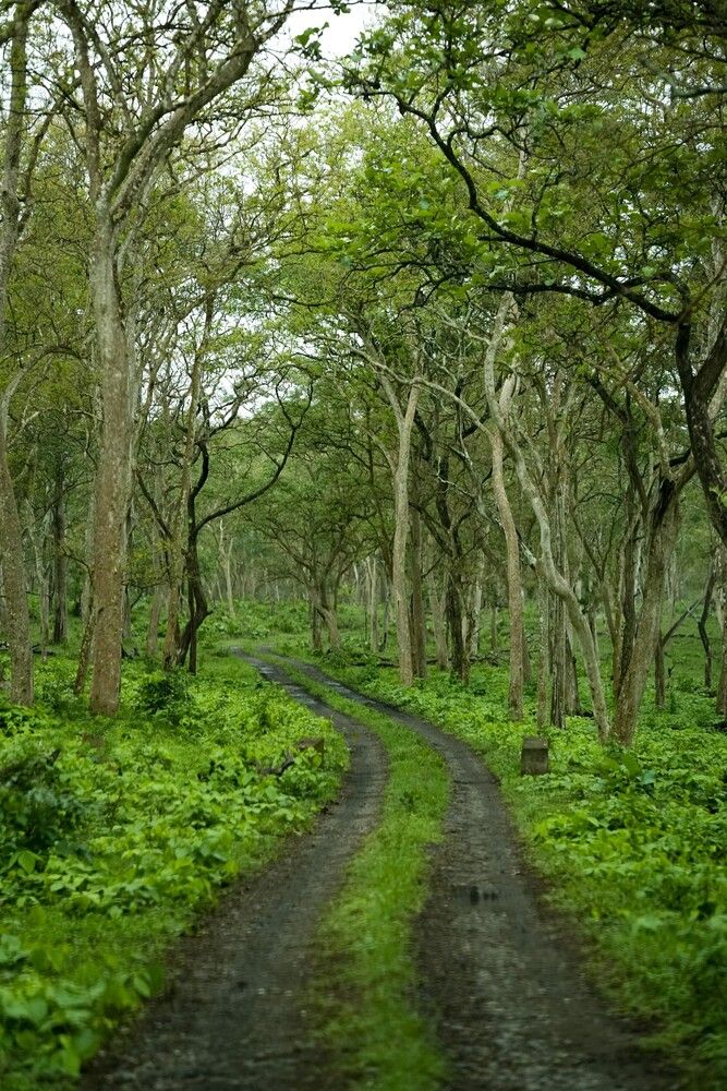 Photograph by SARAVANA MANICKAM