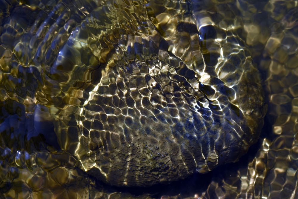 Photograph by Malatesh Garadimani
