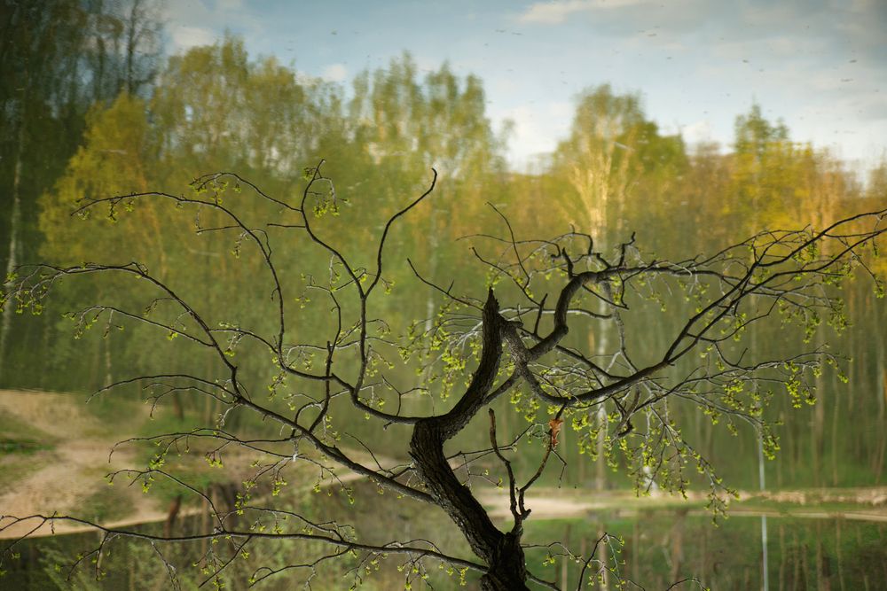 Photograph by Дарья Улюсова