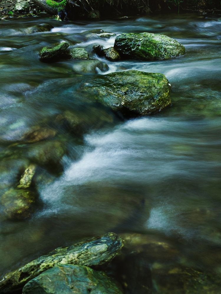 Photograph by Таращук Евгений