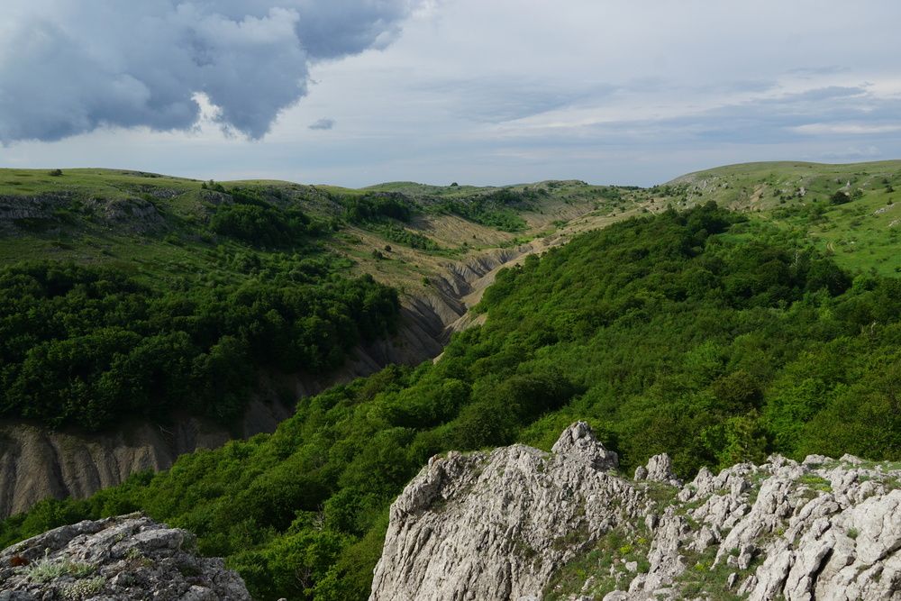 Photograph by света хлевненко
