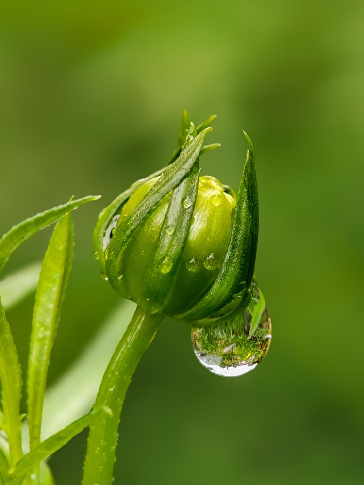 Photograph by Chinchu Chandran