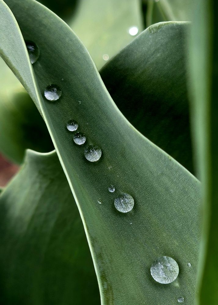 Photograph by Юлия