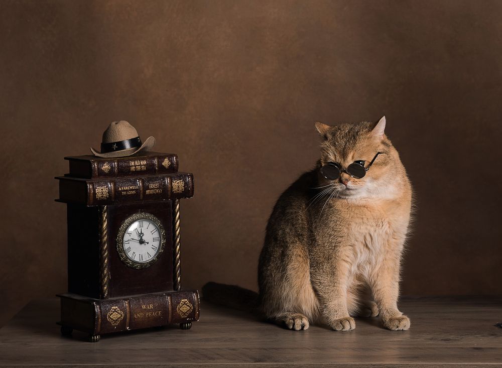 Photograph by Юлия Шестопалова
