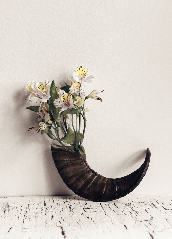 Photograph by Юлия Шестопалова