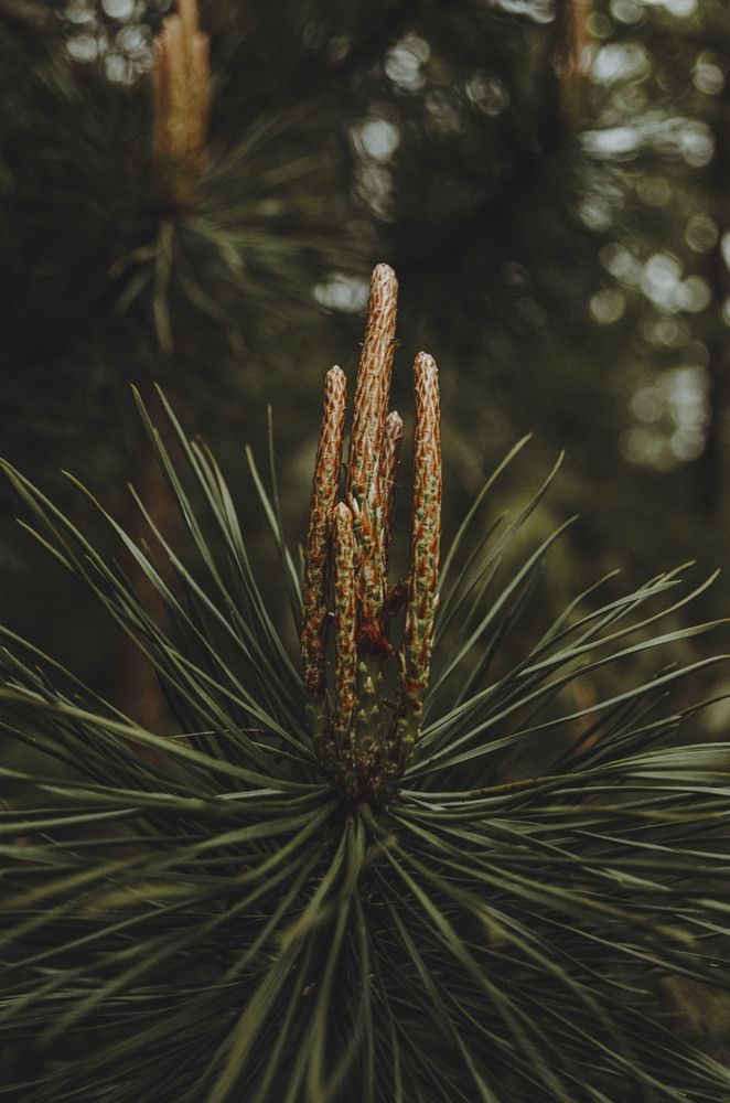 Photograph by Виктория