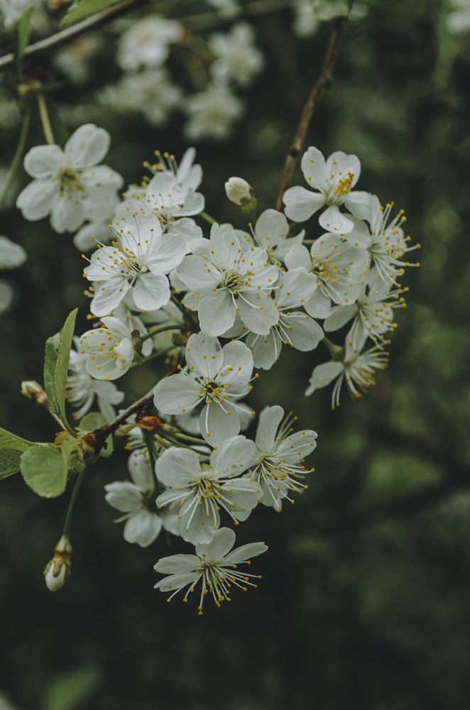 Photograph by Виктория