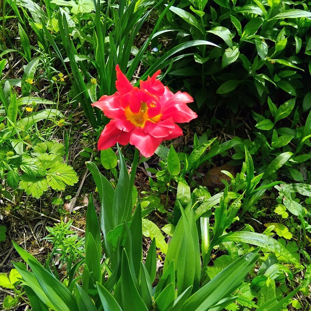 Photograph by Елена Соловейченко