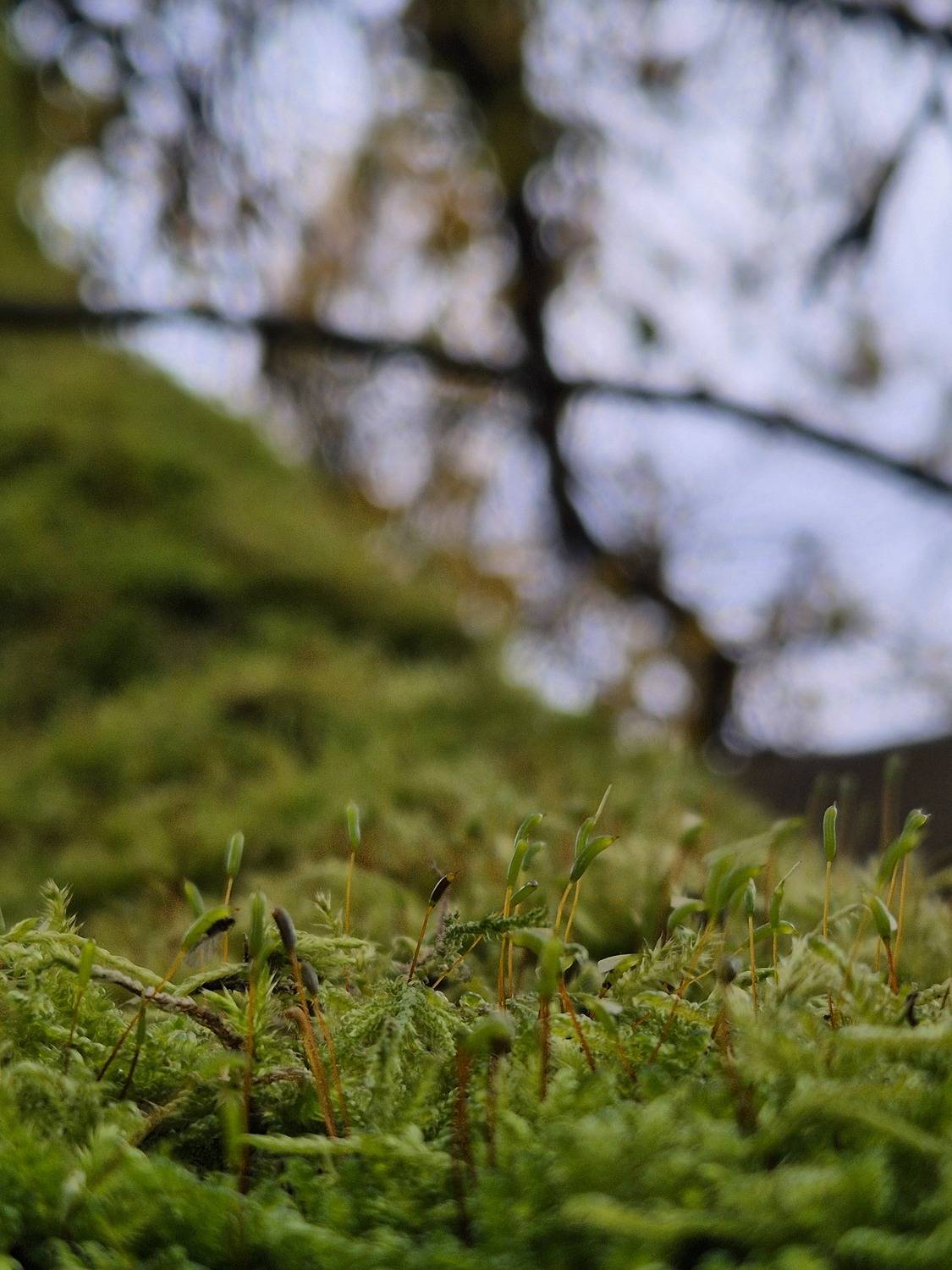 Photo #13610847