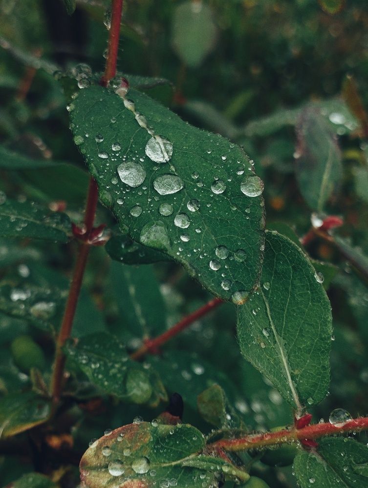 Photograph by Ия Дирко