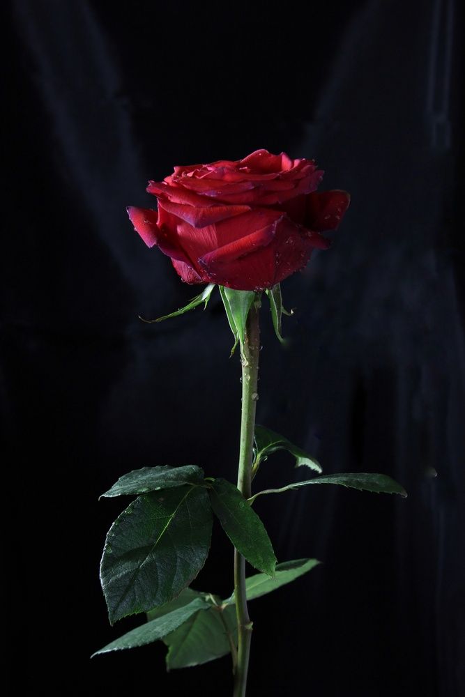 Photograph by Татьяна Орехова