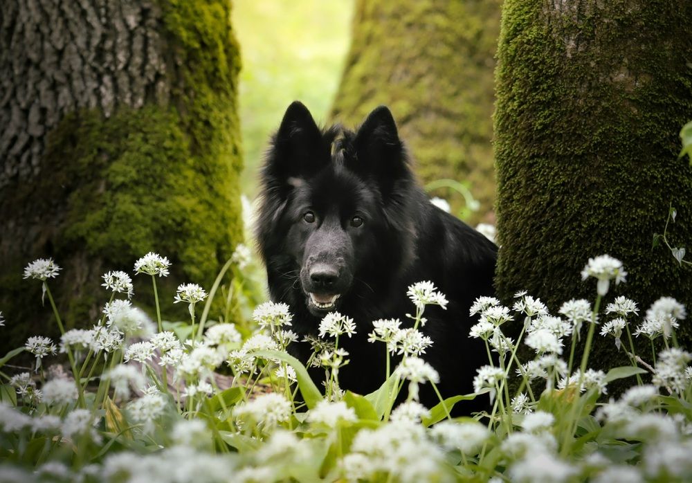 Photograph by Светлана Лукашкина