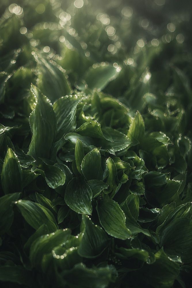 Photograph by Наталья Котина