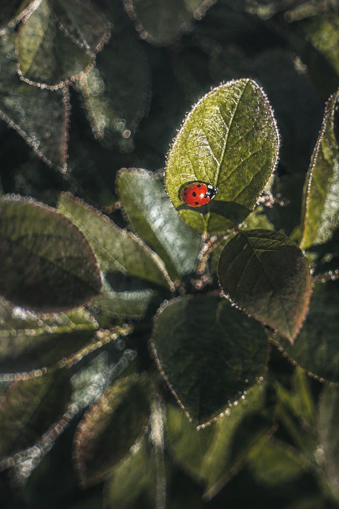 Photograph by Наталья Котина
